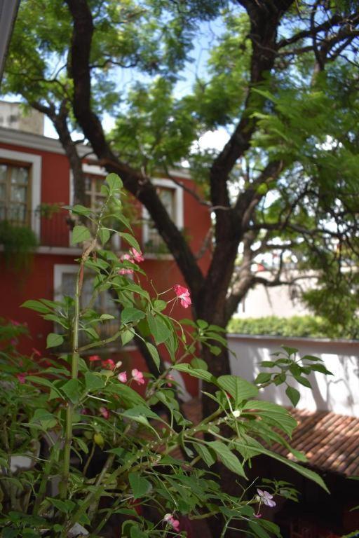 Hotel Ana Catalina And Suites San Miguel de Allende Buitenkant foto